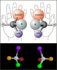 Схематическое изображение «хиральных» молекул